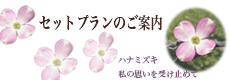 プランのご案内